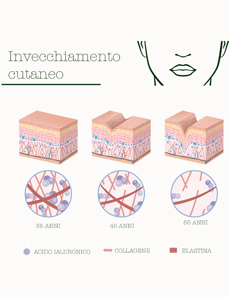 Activateur Bio- Ferments - La Saponaria - MA PLANETE BEAUTE